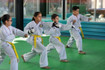 Imagen 5 de la galería del partner Taekwondo MDK Revolución