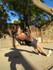 Imagen 3 de la galería del partner Invictus Outdoor Training