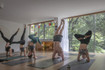 Imagen 5 de la galería del partner Shankara Yoga