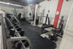 Imagen 4 de la galería del partner Doberman Coliseo