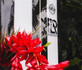 Imagem 5 da galeria do parceiro Surf Up Club - Noronha 350