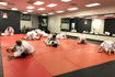 Image 3 from Gracie Jiu-Jitsu Phoenix - Bell Road partner gallery