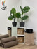 Immagine 4 dalla galleria del partner Your Personal Studio Roma Monte Mario