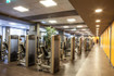 Bild 3 von Just Fit 20 Classic Partnergalerie
