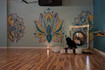 Image 4 from Willow Soul Yoga- St. Michael partner gallery