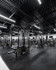 Image 2 from Iron Culture North Bergen partner gallery