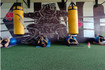 Imagen 5 de la galería del partner The Bronx – Training Studio