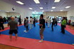 Image 4 from Ling's Oriental Martial Arts, LLC partner gallery