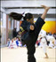 Imagen 4 de la galería del partner UTAM Orizaba Taekwondo 1