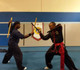 Image 1 from Northern Praying Mantis Kung Fu partner gallery