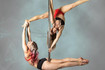 Bild 3 von Happy Pole Place Partnergalerie
