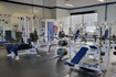 Image 4 from Fortify Athletics and Therapeutics partner gallery