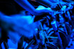 Image 2 from DRAGONFLY CYCLE + TRAIN partner gallery