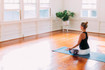 Image 2 from Waimea Yoga partner gallery