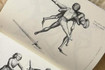 Bild 5 von Gladiatores-Stuttgart Herbert-Hover-Schule Partnergalerie