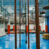 Bild 4 von Ninja-World Karlsruhe Partnergalerie