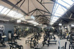 Image 4 from Tathams Powerhouse Gym & Fitness partner gallery