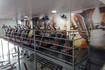 Imagem 1 da galeria do parceiro Academia Sport Fitness