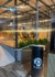 Imagem 3 da galeria do parceiro Arena Tatuapraia