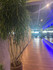 Imagem 4 da galeria do parceiro Academia Body Life Magé
