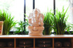 Imagem 3 da galeria do parceiro Urban Yoga