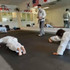 Image 4 from Dragon and Crane Dojo partner gallery