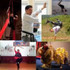 Image 5 from Dragon and Crane Dojo partner gallery