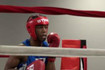 Image 3 from Championship Boxing partner gallery