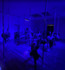 Image 4 from House of Embodiment Pole Fitness partner gallery