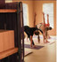 Image 3 from every(body)wellness partner gallery