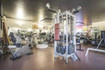 Immagine 1 dalla galleria del partner Palestra Centro Fitness Futura