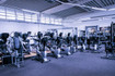 Bild 2 von Lewey Training Hilpoltstein Partnergalerie
