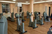 Bild 2 von Carpe Diem Happy Body Club Partnergalerie