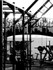 Bild 4 von Berlin Strength Partnergalerie