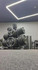Imagem 5 da galeria do parceiro John Boy Academia