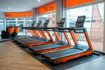 Bild 2 von Basic-Fit Zweibrücken Partnergalerie