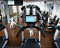 Bild 3 von EMS Training & Fitness - Sport Treff Beuel G. Beyer e.K. Partnergalerie