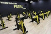 Image 4 from Berwick Sports & Leisure Centre partner gallery