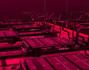Image 2 from SWC Lagree partner gallery