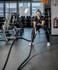 Bild 6 von NSFGYM Partnergalerie