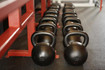 Image 1 from Alpha Lycan Gym partner gallery