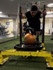 Image 4 from Alpha Lycan Gym partner gallery