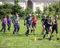 Image 3 from Tikki Training partner gallery