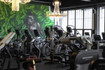Bild 2 von Shapeshifters Gym Blaue Brücke Partnergalerie