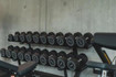 Bild 3 von Shapeshifters Gym The View Partnergalerie