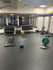 Image 2 from New Jersey Fitness Factory partner gallery