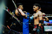 Imagen 2 de la galería del partner Pugnator Martial Arts
