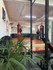 Imagem 5 da galeria do parceiro Team Bizu Academia de Lutas