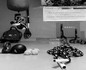 Image 1 from Fergie's Instructional Training FIT LLC partner gallery