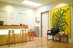 Image 5 from Brooklyn Meditation partner gallery